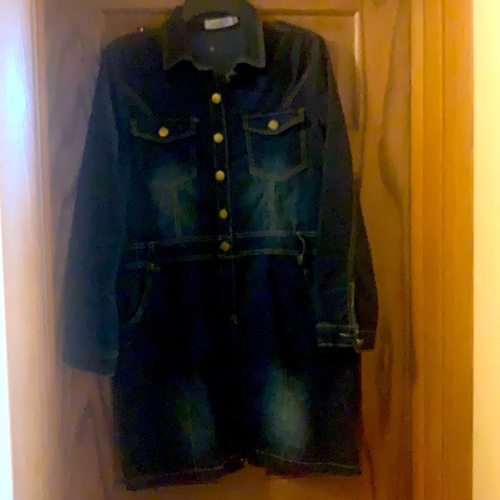 Dark denim mini dress